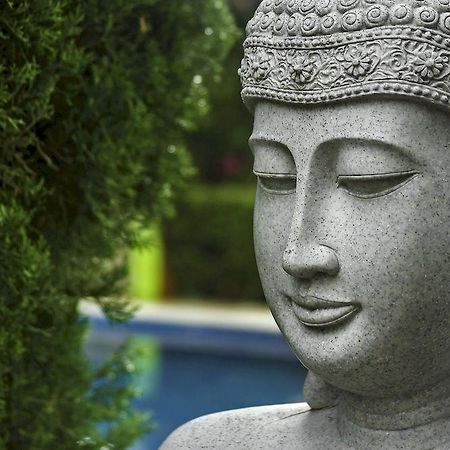 Casa Domingo Hotel Petit Miacatlan Ngoại thất bức ảnh