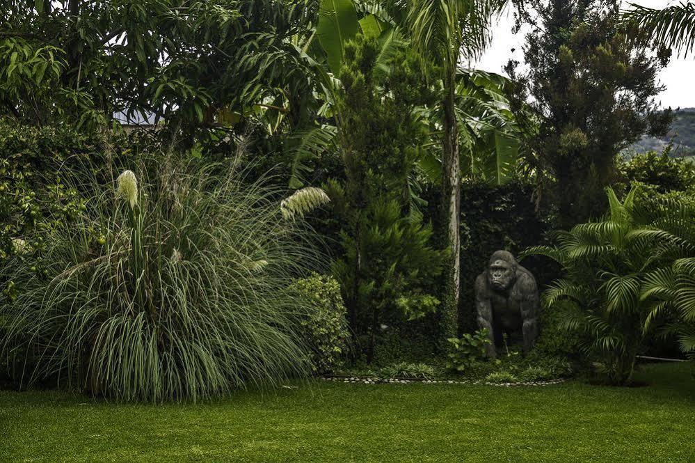 Casa Domingo Hotel Petit Miacatlan Ngoại thất bức ảnh